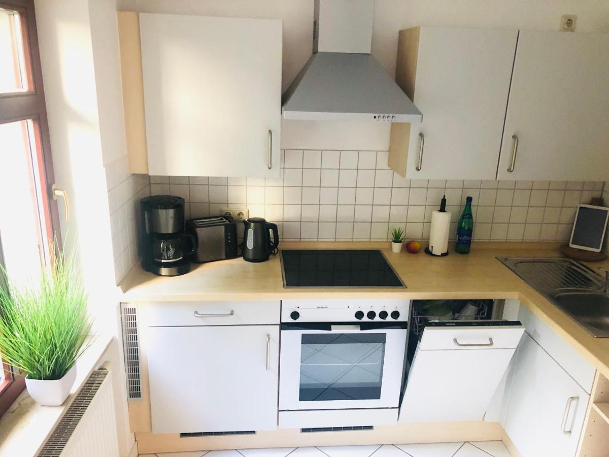 Ferienwohnungen Mit Terrasse In Zwingernaehe - Hilger Rentals ドレスデン エクステリア 写真